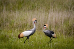 Hlatikulu. KwaZulu Natal. South Africa.